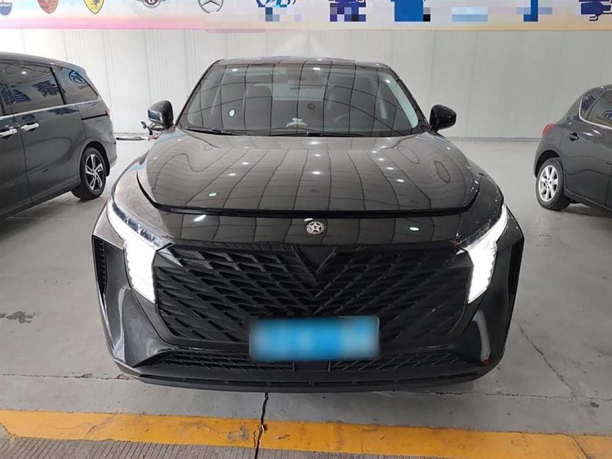 啟辰 啟辰大V  2022款 260T 黑馬版?愛豆圖片