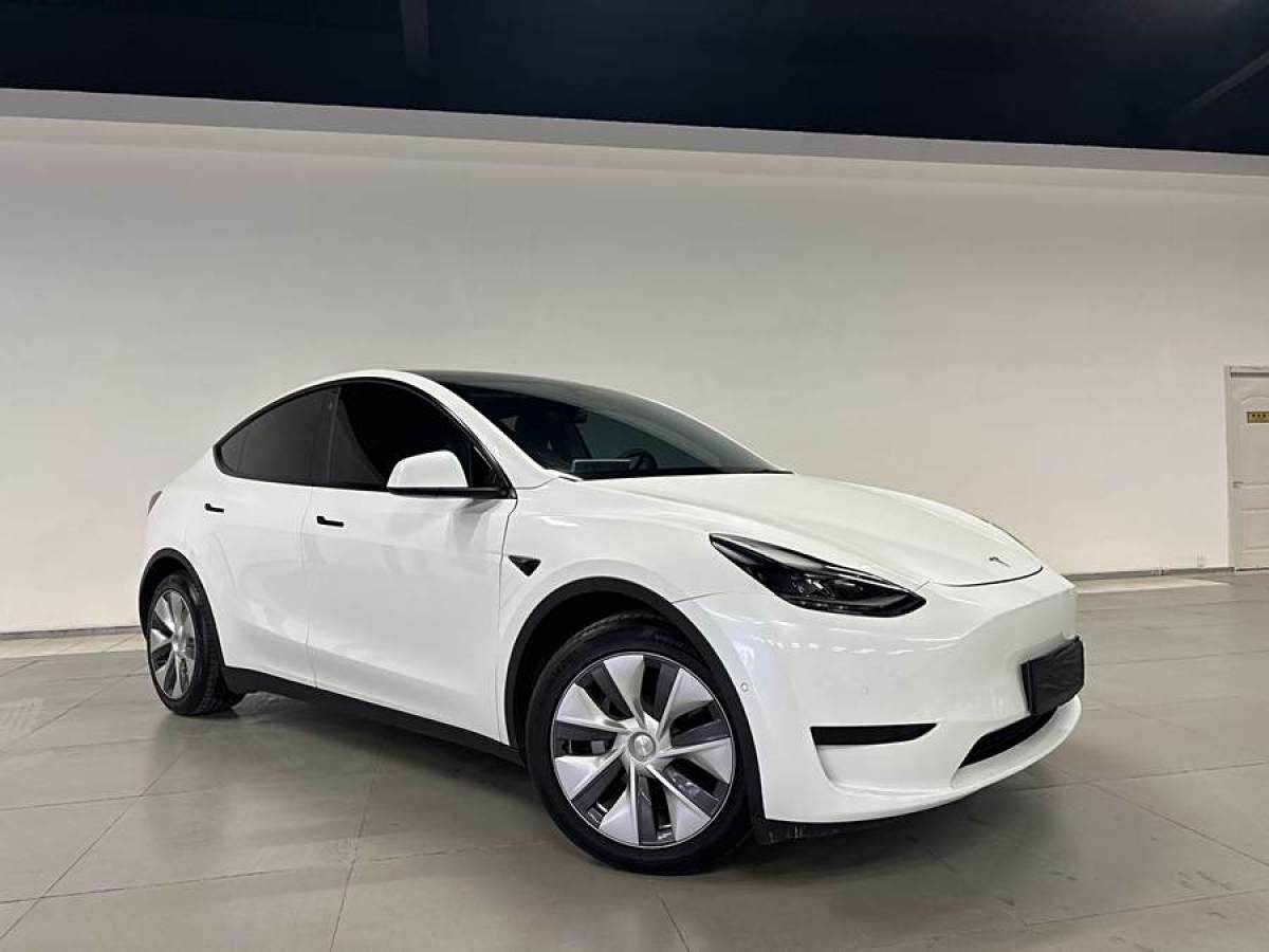 特斯拉 Model 3  2020款 改款 長續(xù)航后輪驅動版圖片