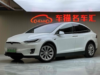 2020年1月 特斯拉 Model X 長續(xù)航版圖片