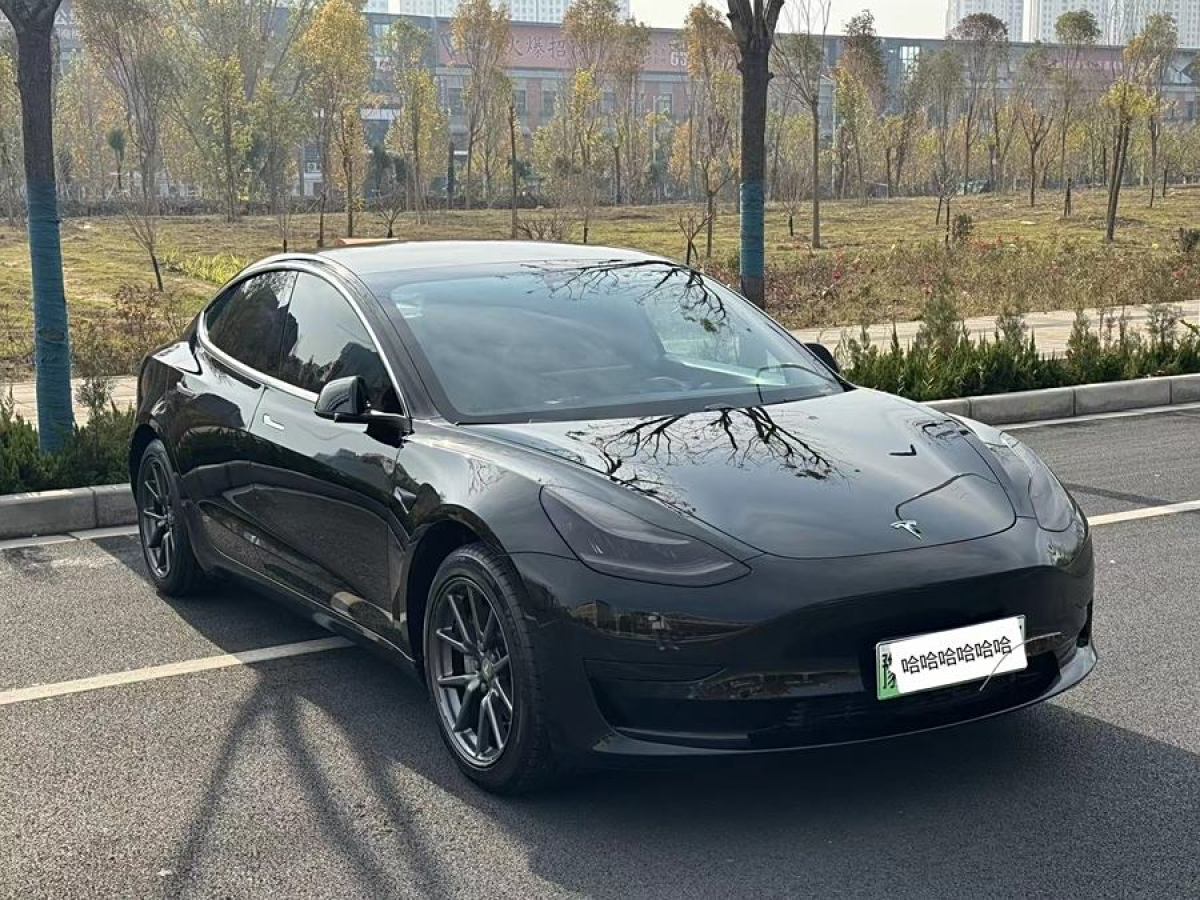 特斯拉 Model 3  2020款 改款 標(biāo)準(zhǔn)續(xù)航后驅(qū)升級(jí)版圖片