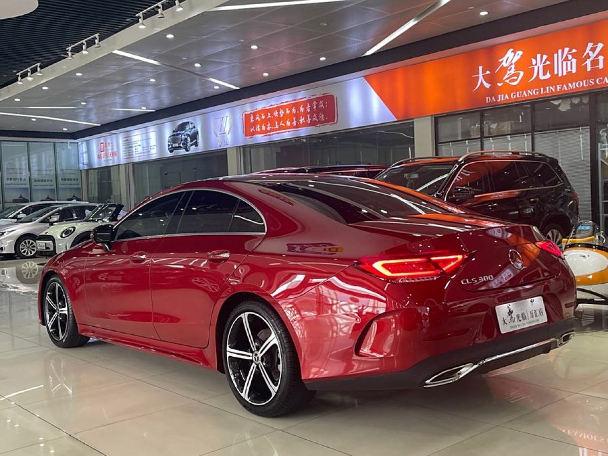 奔驰 奔驰CLS级  2023款 改款 CLS 300 豪华型图片