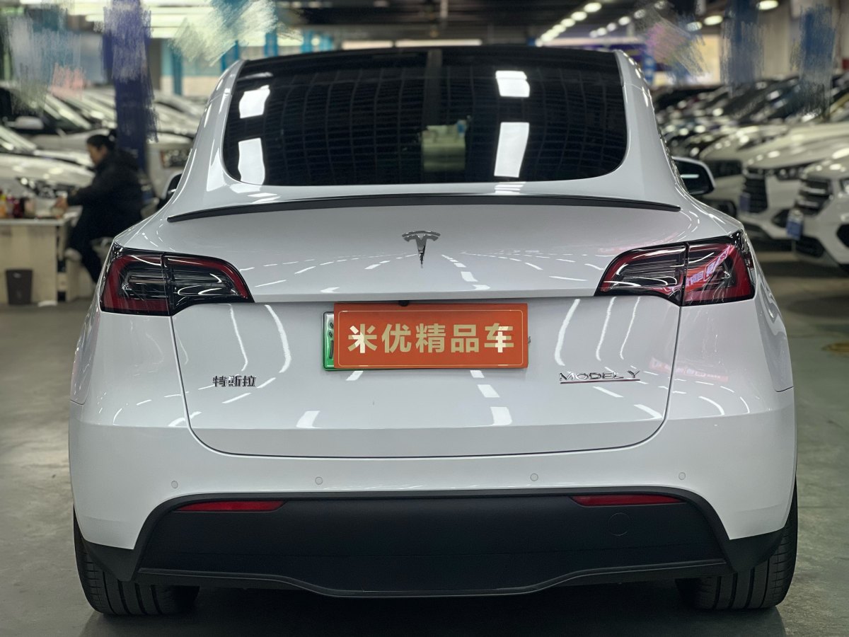 特斯拉 Model 3  2022款 Performance高性能全輪驅(qū)動版圖片