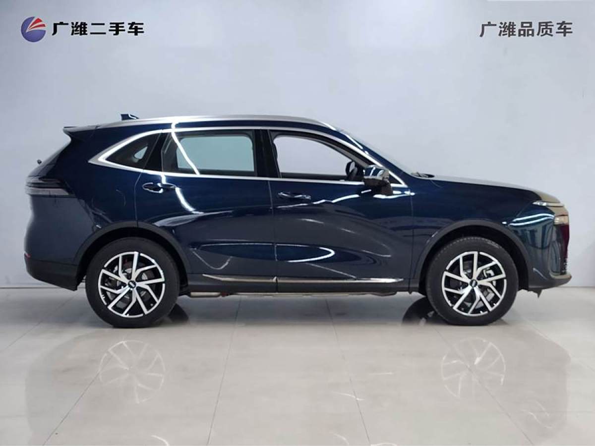 WEY 拿鐵DHT-PHEV  2022款 1.5T 兩驅(qū)大杯圖片