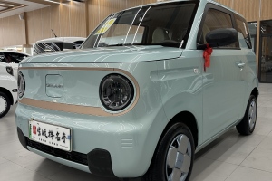 熊猫mini 吉利 200km 耐力熊