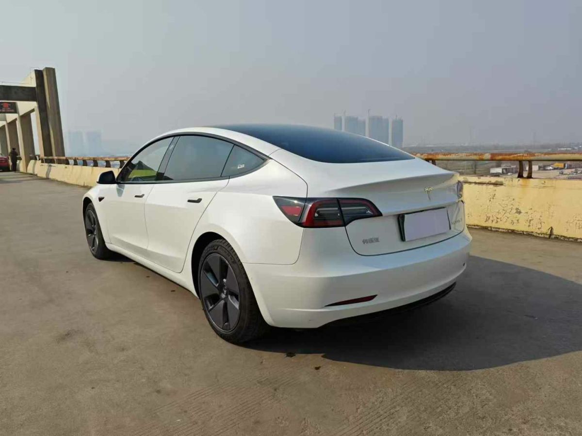 特斯拉 Model Y  2021款 標準續(xù)航后驅(qū)版圖片