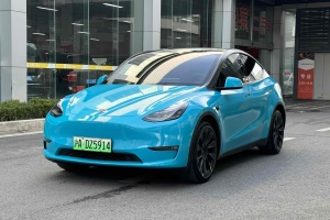 Model Y 特斯拉 長續(xù)航全輪驅(qū)動(dòng)版 3D7