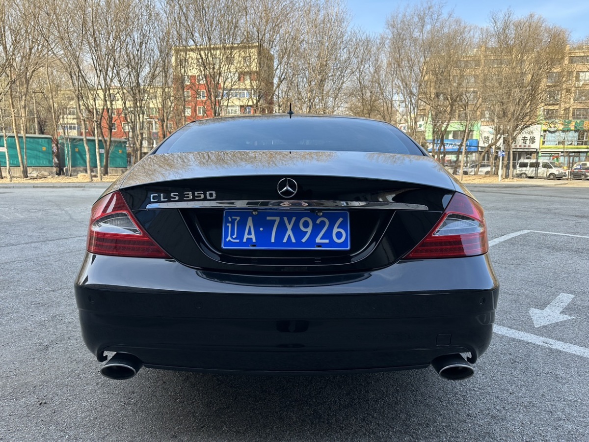 奔馳 奔馳CLS級  2009款 CLS 350圖片