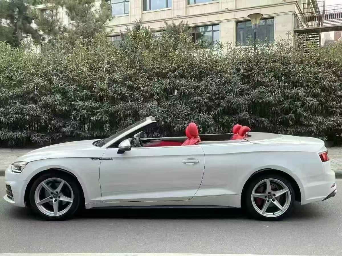 奧迪 奧迪Q5  2018款 典藏版 40 TFSI 技術(shù)型圖片