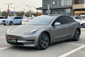 Model 3 特斯拉 标准续航后驱升级版 3D6