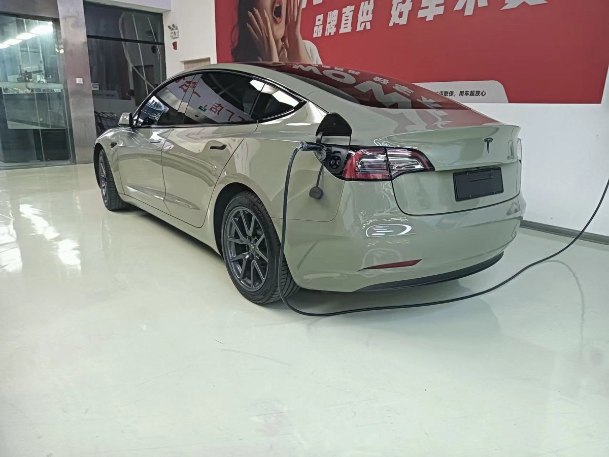 2020年10月特斯拉 Model 3  2019款 標(biāo)準(zhǔn)續(xù)航后驅(qū)升級(jí)版