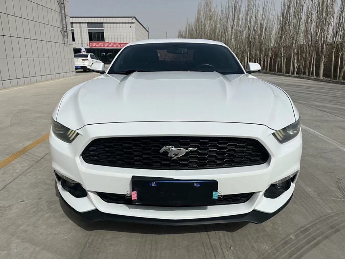 福特 Mustang  2016款 2.3T 性能版圖片