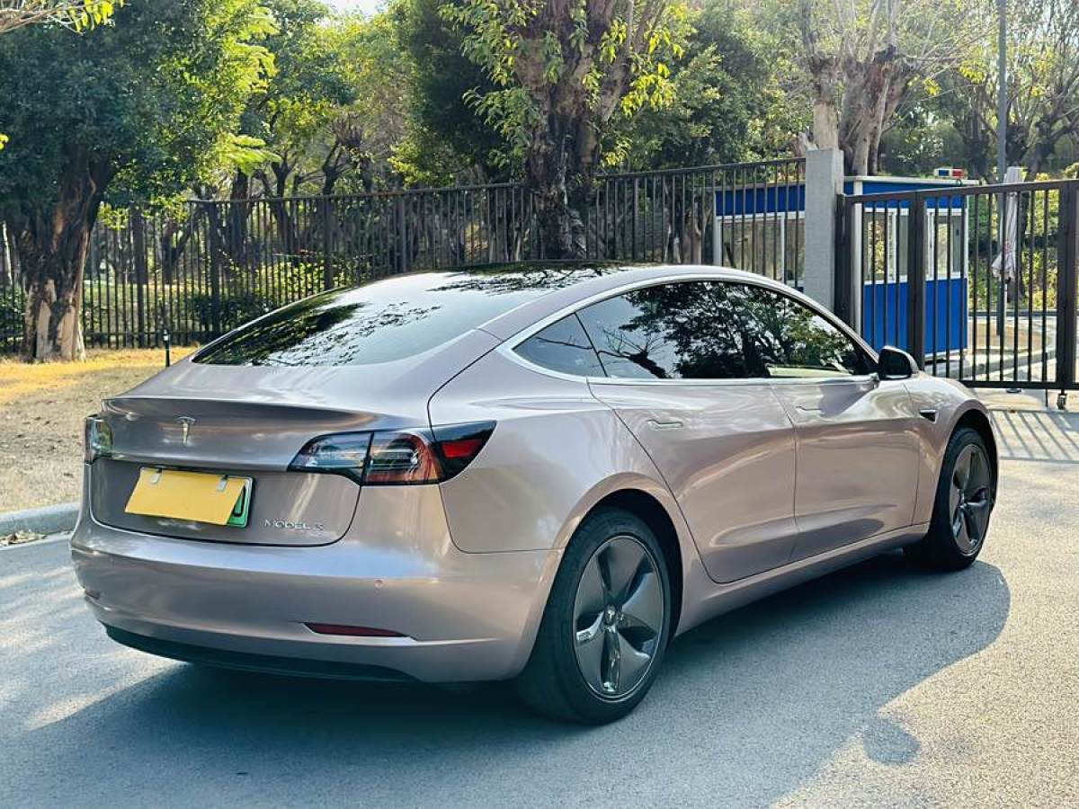 特斯拉 Model 3  2019款 標(biāo)準(zhǔn)續(xù)航后驅(qū)升級(jí)版圖片