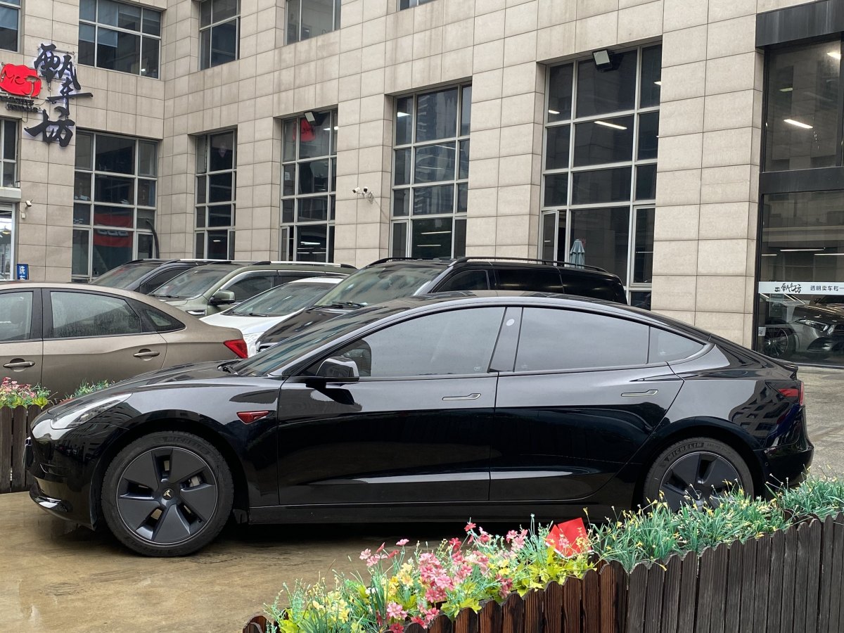 特斯拉 Model 3  2019款 標(biāo)準(zhǔn)續(xù)航后驅(qū)升級(jí)版圖片