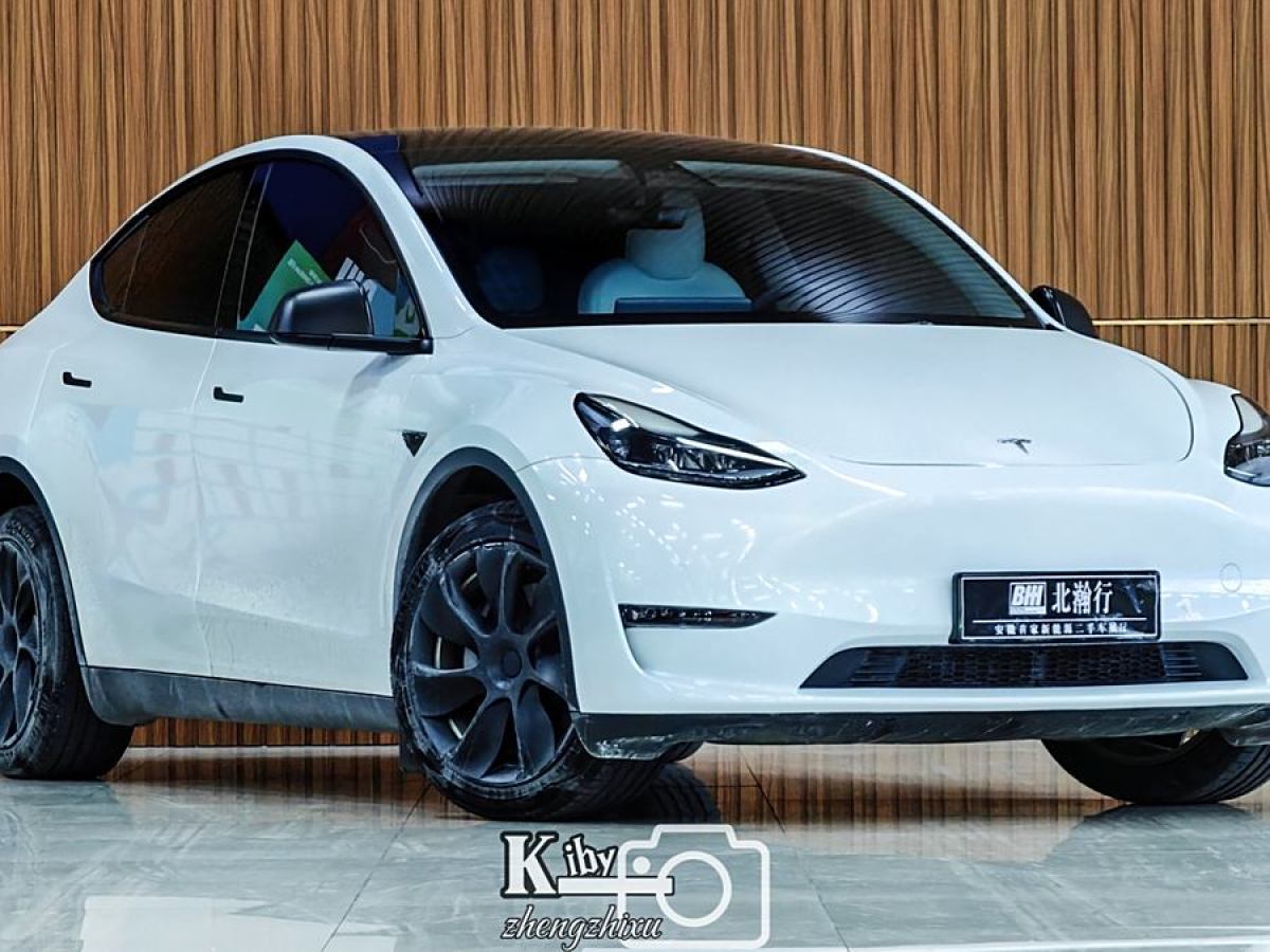 特斯拉 Model Y  2021款 改款 長(zhǎng)續(xù)航全輪驅(qū)動(dòng)版圖片