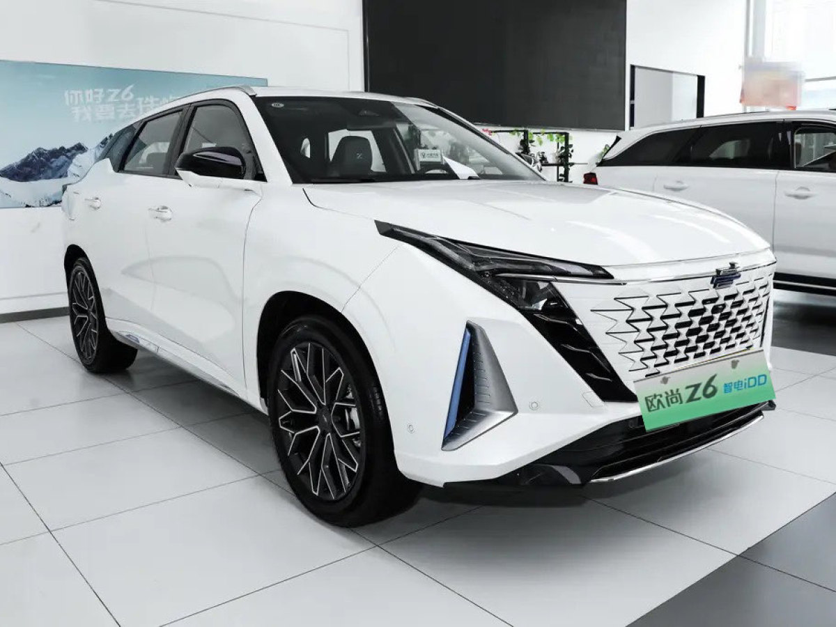 長(zhǎng)安歐尚 長(zhǎng)安歐尚Z6新能源  2023款 智電iDD 150KM旗艦PLUS智慧泊車版圖片