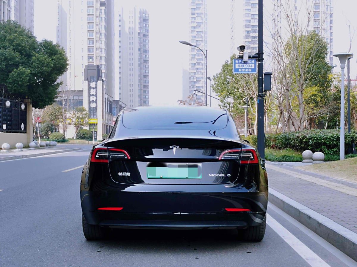 特斯拉 Model 3  2019款 標(biāo)準(zhǔn)續(xù)航后驅(qū)升級(jí)版圖片