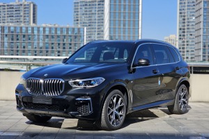 宝马X5 宝马 改款 xDrive 40Li M运动套装