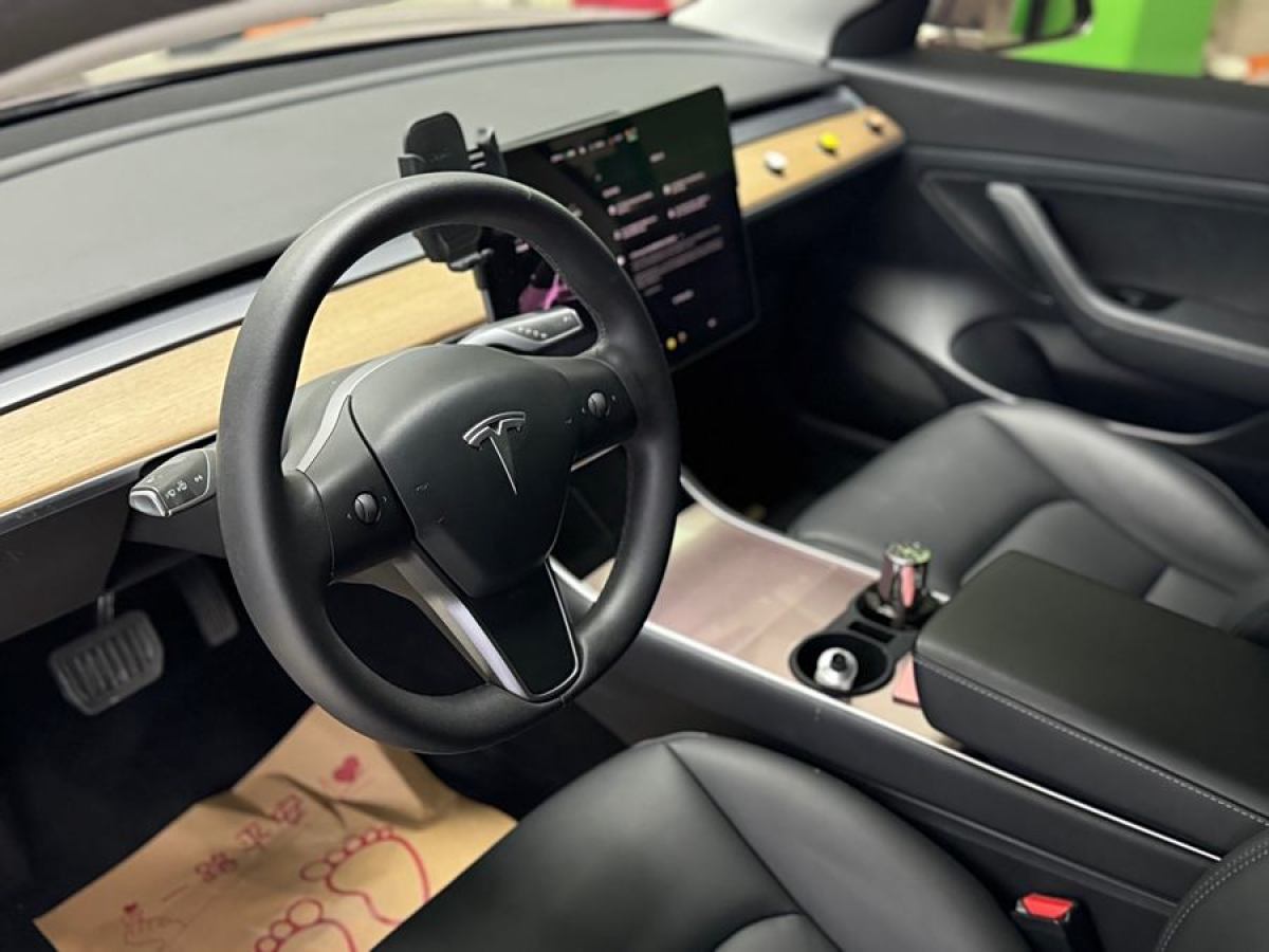 特斯拉 Model 3  2020款 改款 標準續(xù)航后驅(qū)升級版圖片