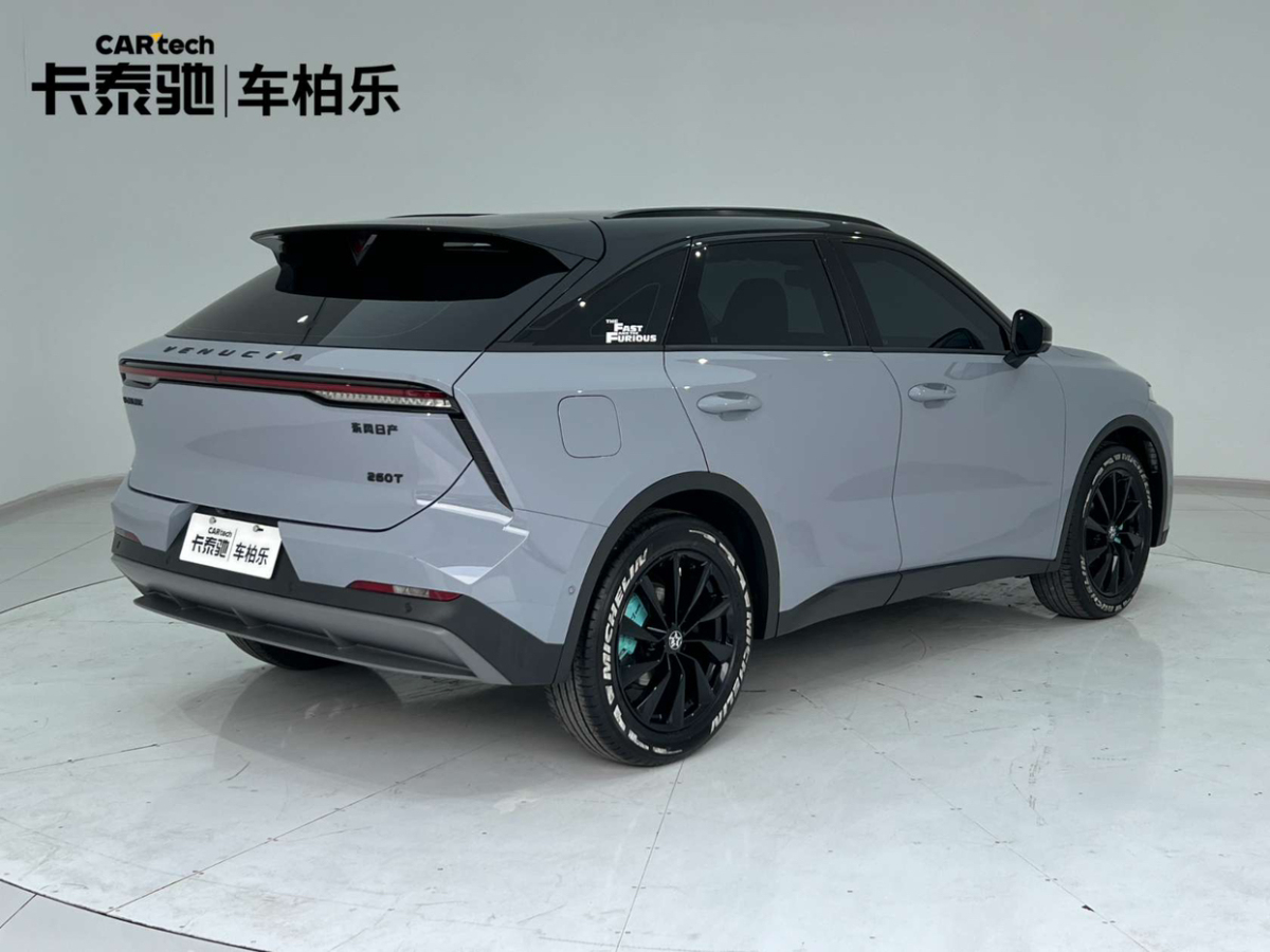 启辰 启辰大V  2021款 260T 天王版图片