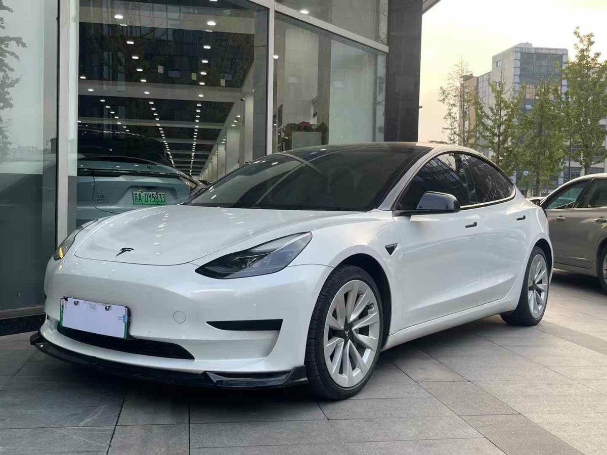 2021年1月特斯拉 Model 3  2021款 標準續(xù)航后驅(qū)版