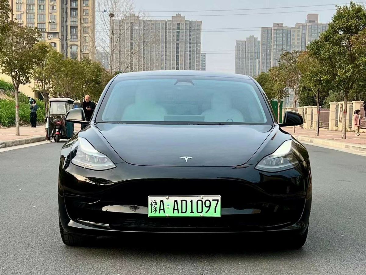 2022年9月特斯拉 Model 3  2022款 Performance高性能全輪驅(qū)動(dòng)版