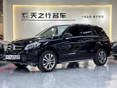 2017年4月 奔馳 奔馳GLE(進(jìn)口) GLE 320 4MATIC 動(dòng)感型圖片