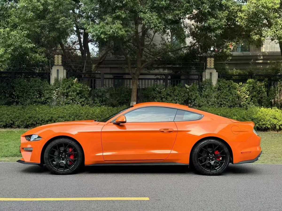 福特 Mustang  2020款 2.3L EcoBoost圖片