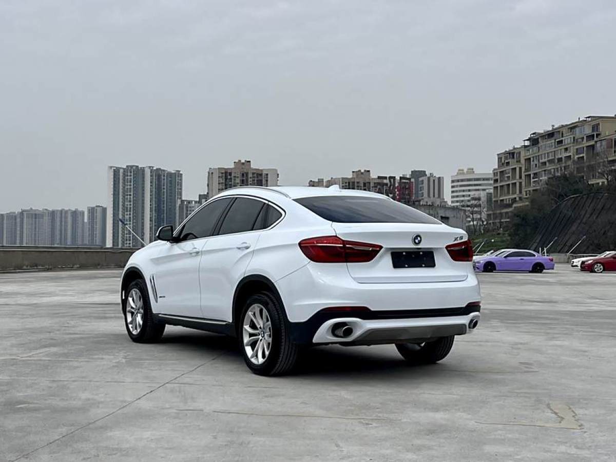 寶馬 寶馬X6  2017款 xDrive35i 領(lǐng)先型圖片