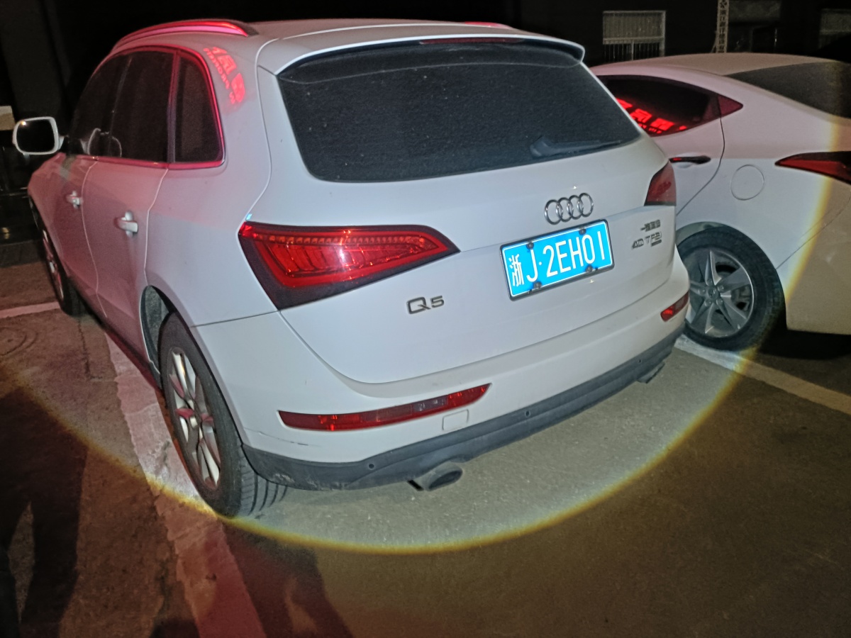 奧迪 奧迪Q5  2013款 40 TFSI 技術(shù)型圖片