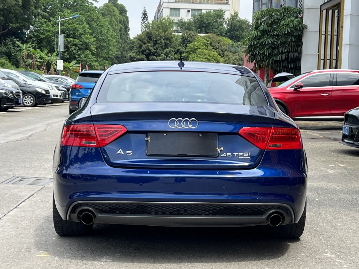奧迪 奧迪A5  2014款 Coupe 45 TFSI quattro圖片