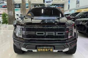 F-150 福特 3.5T 猛禽傲雪冰晖特别版