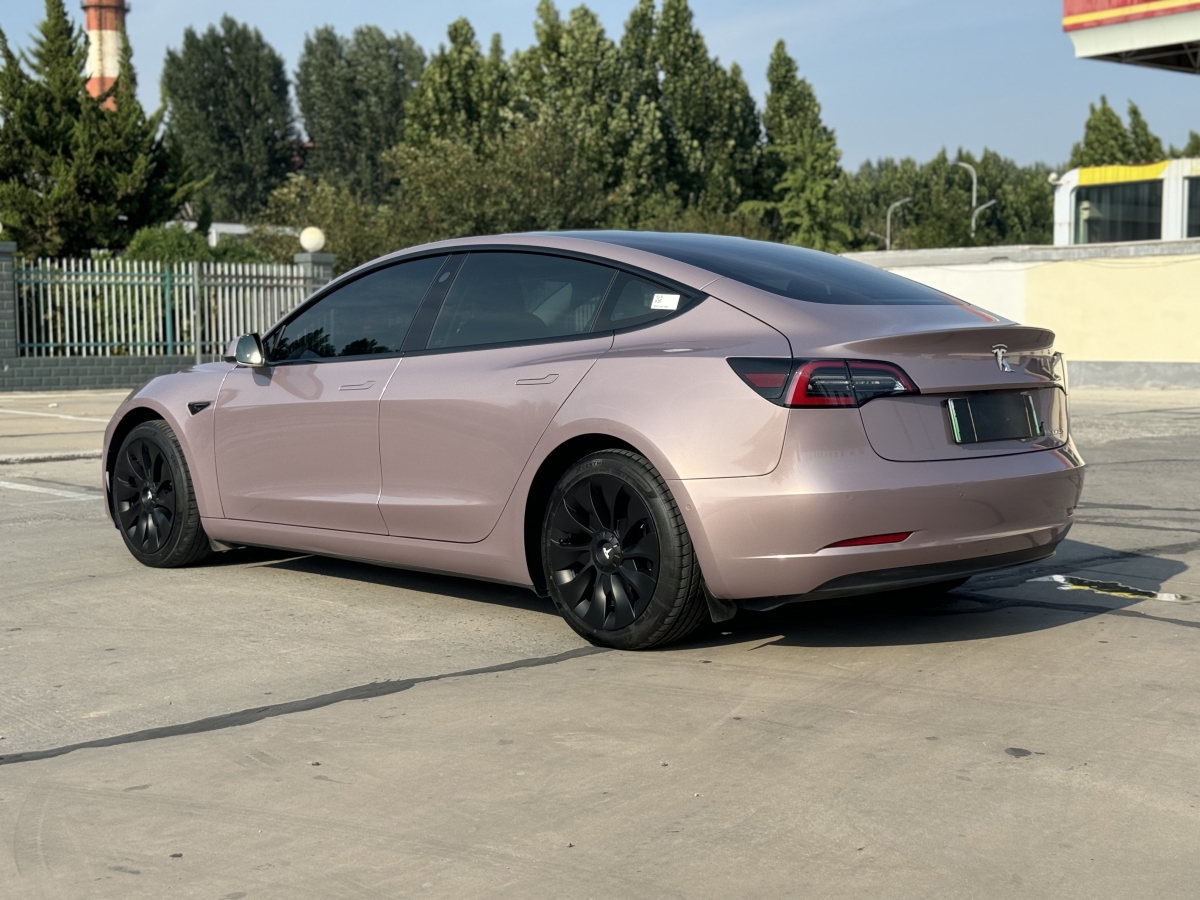 特斯拉 Model 3  2020款 改款 標(biāo)準(zhǔn)續(xù)航后驅(qū)升級(jí)版圖片