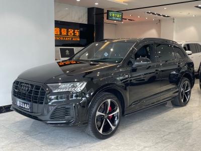 2022年11月 奥迪 奥迪Q7(进口) 55 TFSI quattro S line冰雪运动版图片