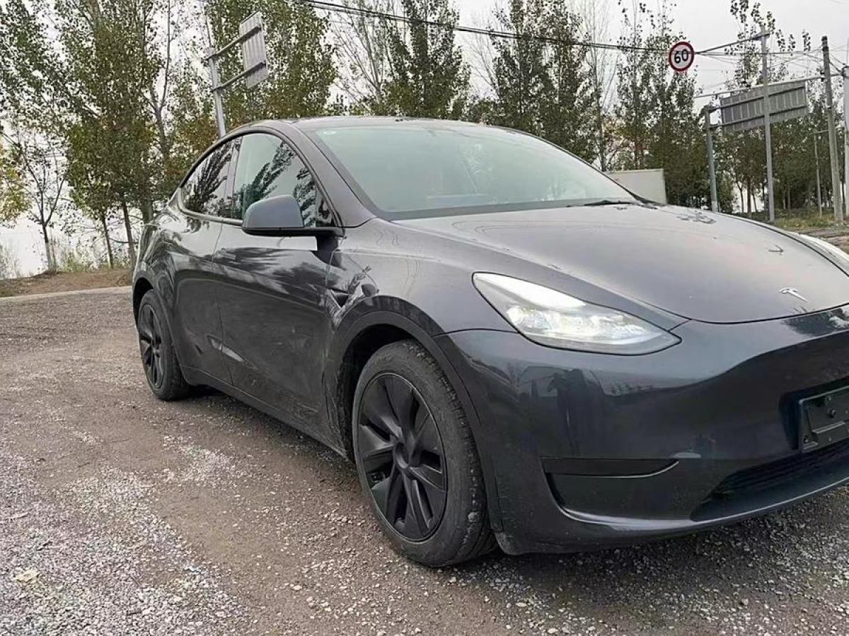 特斯拉 Model 3  2020款 改款 長續(xù)航后輪驅(qū)動版圖片