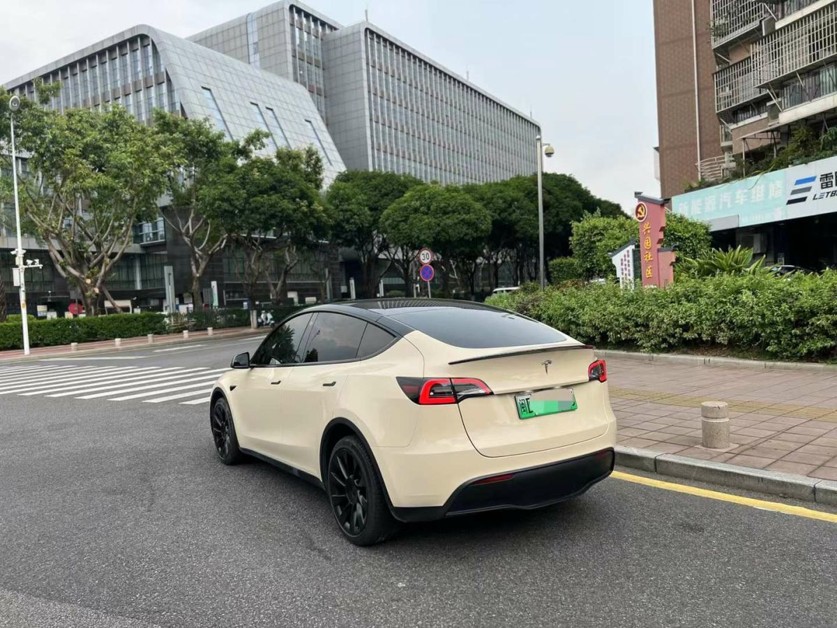 特斯拉 Model Y  2022款 Performance高性能全輪驅(qū)動(dòng)版圖片