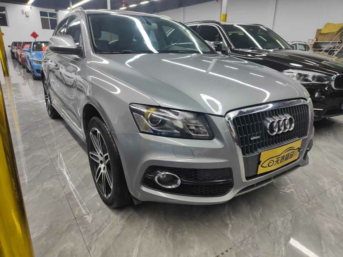 奧迪 奧迪Q5  2010款 Q5 2.0TSI 首發(fā)限量版運(yùn)動(dòng)版圖片