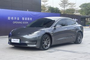 Model 3 特斯拉 改款 标准续航后驱升级版