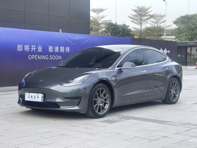 2020年12月 特斯拉 Model 3 改款 標(biāo)準(zhǔn)續(xù)航后驅(qū)升級版圖片