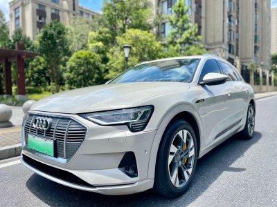 2020年10月 奧迪 奧迪Q7新能源(進口) 55 e-tron圖片