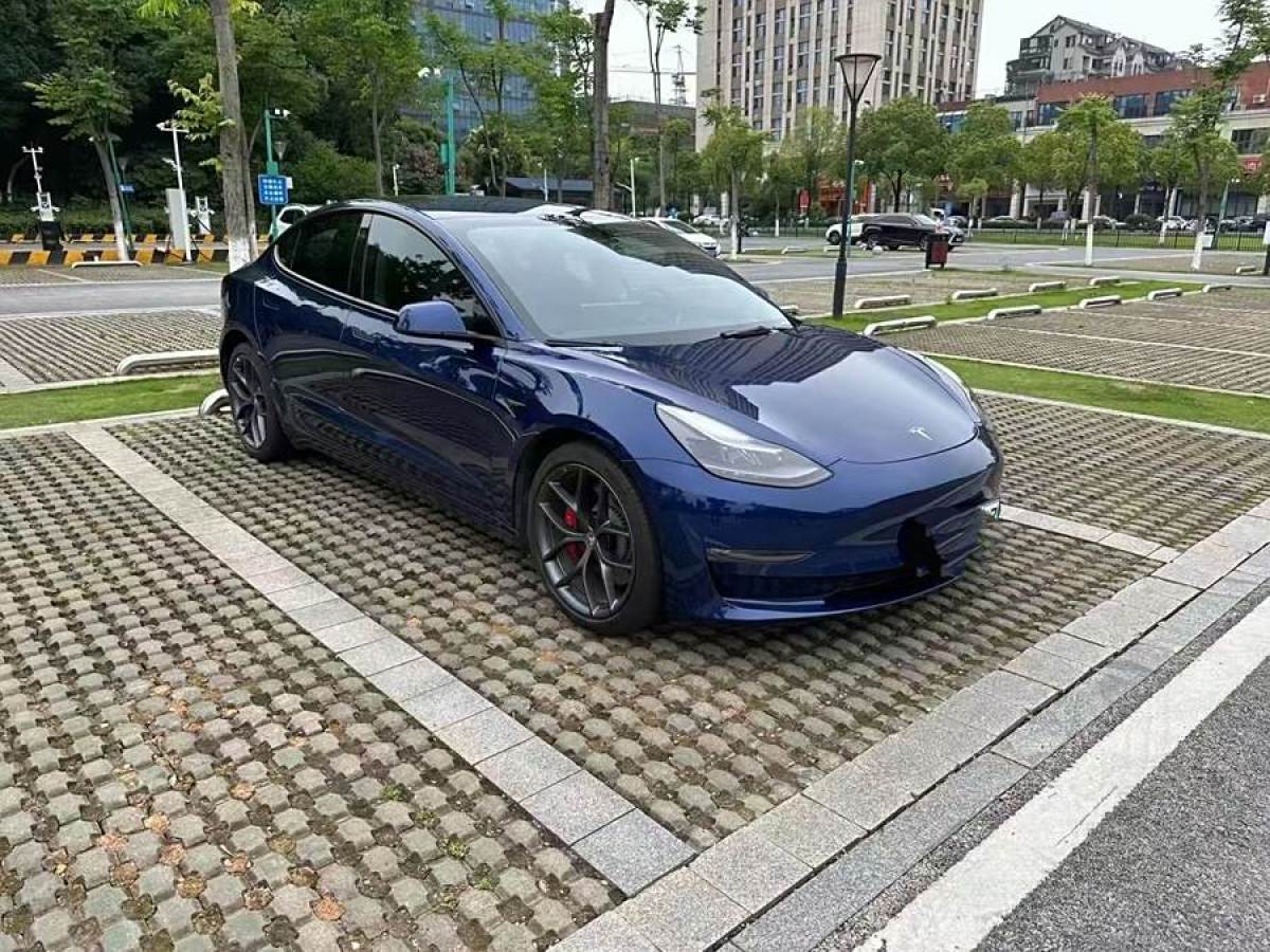 特斯拉 Model 3  2019款 Performance高性能全輪驅(qū)動版圖片