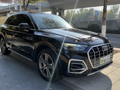 2022年5月 奥迪 奥迪Q5L 45 TFSI 豪华致雅型图片