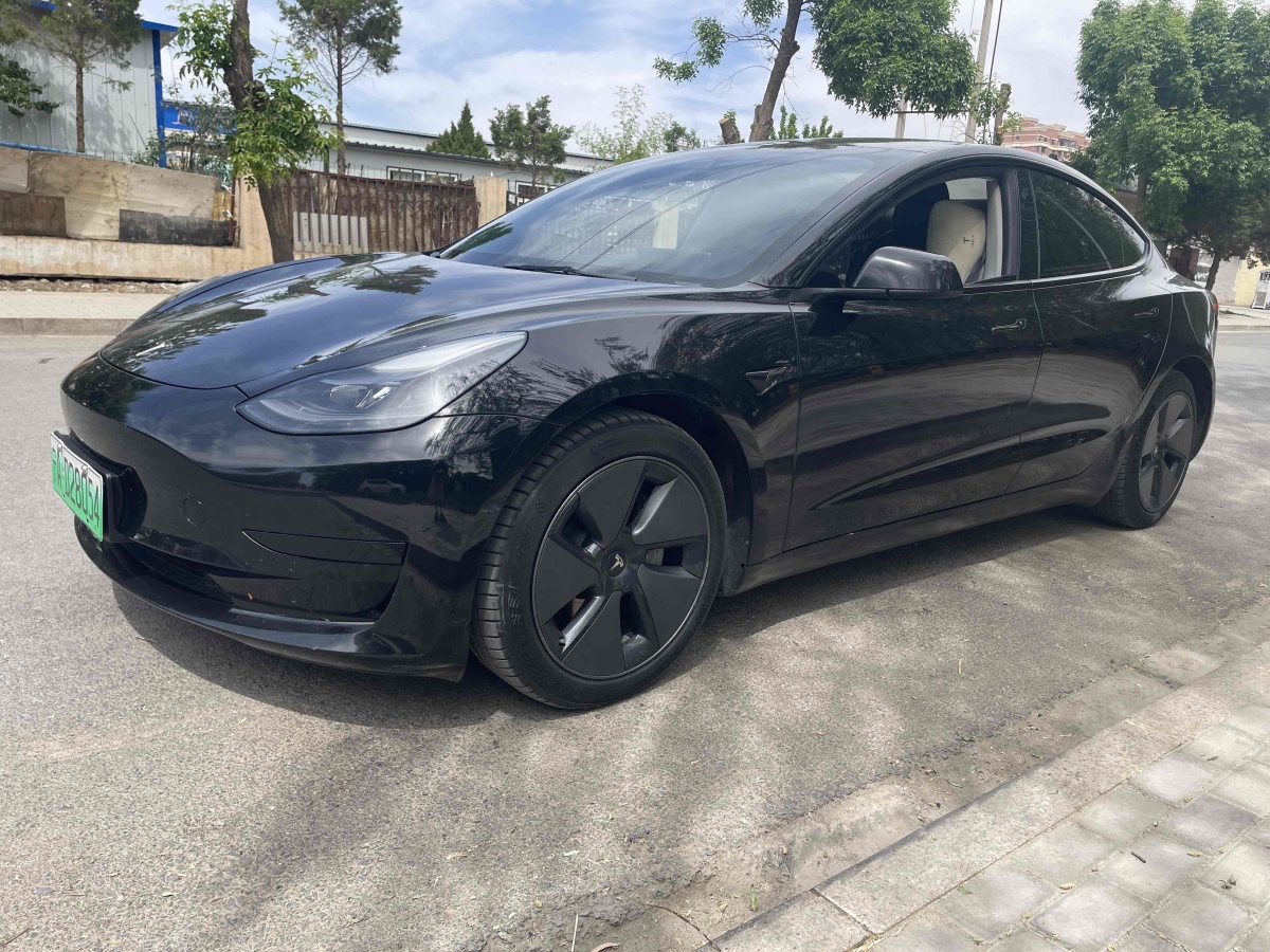 特斯拉 Model 3  2022款 后輪驅(qū)動版圖片