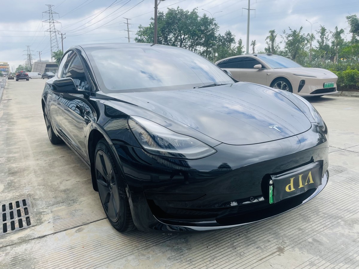 特斯拉 Model 3  2019款 標(biāo)準(zhǔn)續(xù)航后驅(qū)升級(jí)版圖片