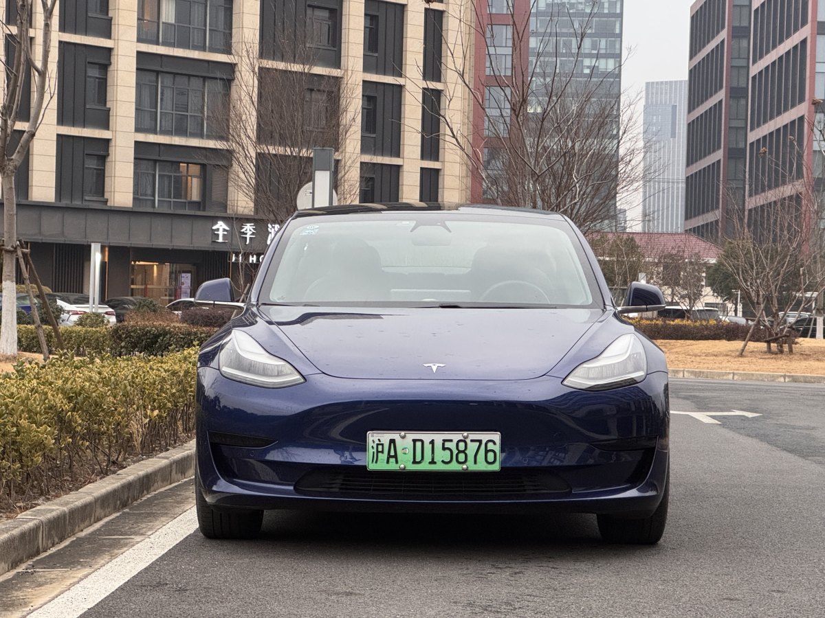 特斯拉 Model 3  2019款 標(biāo)準(zhǔn)續(xù)航后驅(qū)升級版圖片