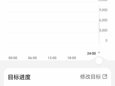 2004年1月 林肯 城市 4.6 加長禮賓車圖片