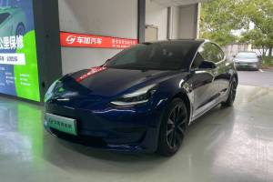 Model 3 特斯拉 标准续航后驱升级版