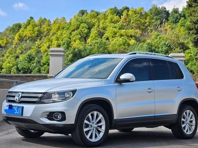 2014年5月 大眾 Tiguan(進(jìn)口) 2.0TSI 舒適版圖片