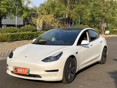 2023年4月 特斯拉 Model 3 改款 后輪驅(qū)動版圖片