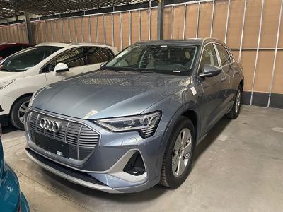 2022年6月 奧迪 奧迪e-tron 50 quattro 豪華型圖片