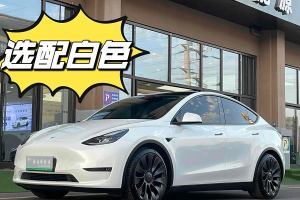 Model Y 特斯拉 改款 Performance高性能全轮驱动版